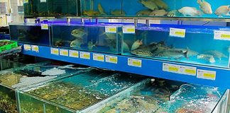 Mua bể cá hải sản cho nhà hàng Hà Nội ở đâu?